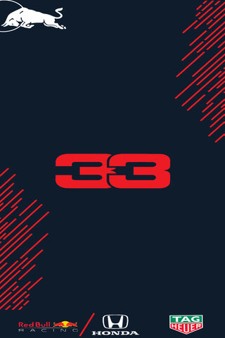 Max Verstappen: The Power of 33 🏎️🔥