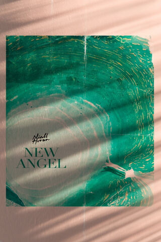 Niall Horan's New Angel 🌟