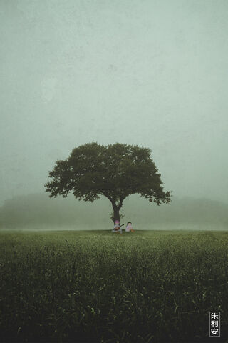 Whispers of Hope in the Mist 🌳✨