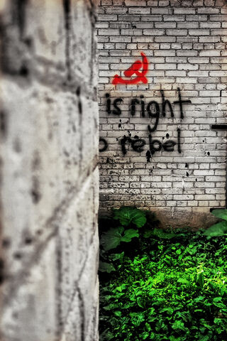 Embrace the Rebel Spirit! ✊🌿