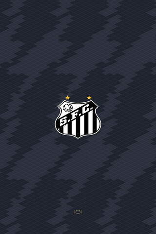 Santos FC: The Pride of Brazilian Football ⚽️🇧🇷