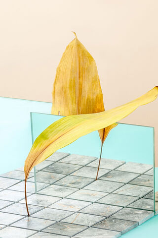 Nature Meets Modern Design: The Samsung A51 Inspiration