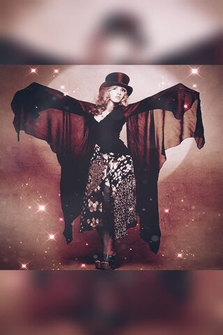 Enchanting Elegance: The Mystique of Stevie Nicks ✨🎩
