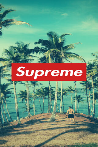 Tropical Vibes: Supreme Summer Escape 🌴☀️