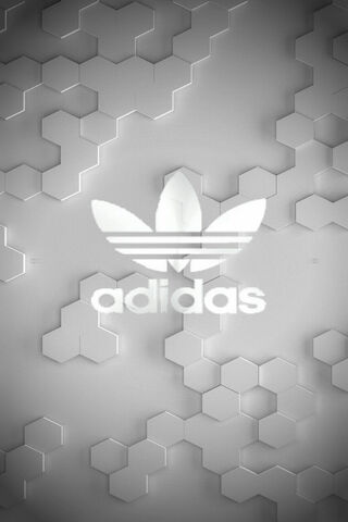 Sleek Style: The White Adidas Vibe