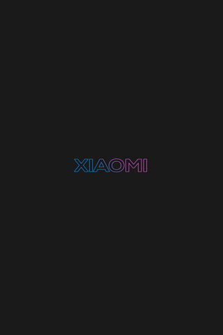 Xiaomi: Innovation in E..