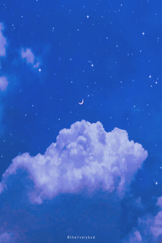 Dreamy Celestial Night 🌙✨