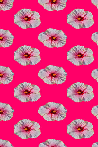 Blooming Vibes: A Floral Fiesta 🌺✨