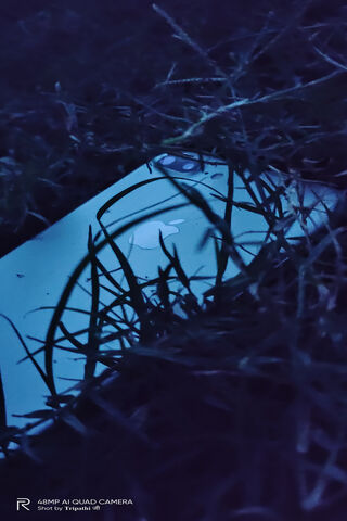 Lost in the Night: The iPhone 7 Plus