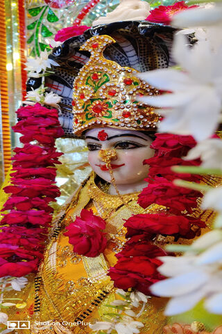 Jai Mata Di