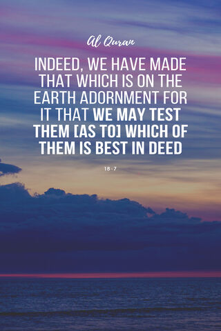 Wisdom from the Skies 🌅