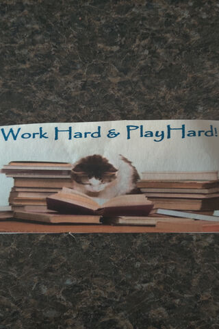 Work Hard Play Hard