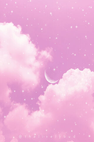 Dreamy Pink Skies 🌸✨