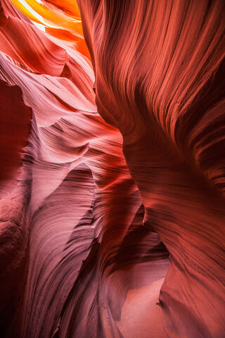 Whispers of the Canyon: Nature's Artistry