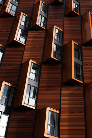 Modern Architecture: Th..