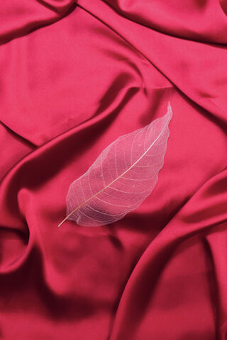 Whispers of Elegance: The Red Silk Dream