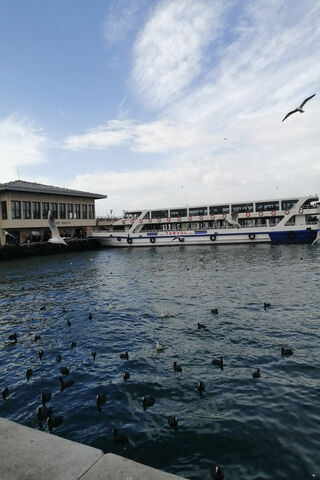 Deniz: The Serene Waters of the Harbor 🌊🚤