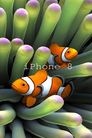 Iphone 8