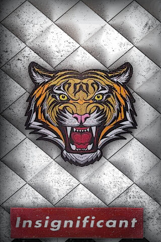 Fierce Identity: The Insignificant Tiger