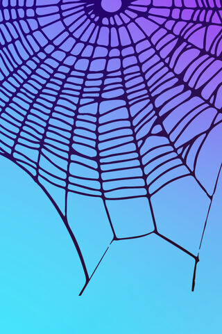 Web of Wonders: Nature's Intricate Design