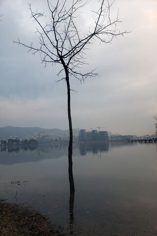 Reflections of Tirana: Nature's Serenity 🌅