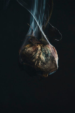 Whispers of the Heart: A Tragic Beauty