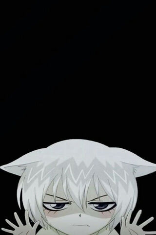 Whiskers of Mischief: A Glimpse into Kamisama Kiss