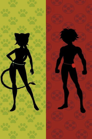 Miraculous Duo: Shadows of Heroes 🐾✨
