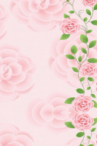 Pink Roses