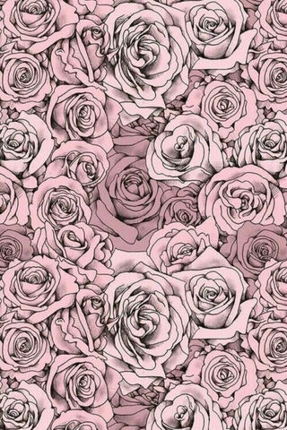 Pink Drawn Roses