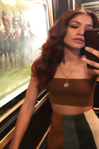 Zendaya: A Glimpse of Glamour