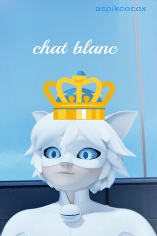 The Royal Transformation of Chat Blanc 👑✨