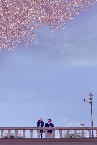 Moments of Magic 🌸✨