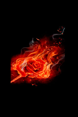 Embers of Passion: The Fire Rose