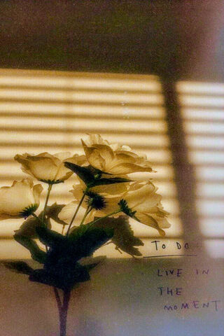 Whispers of Time: Embracing the Present 🌹✨