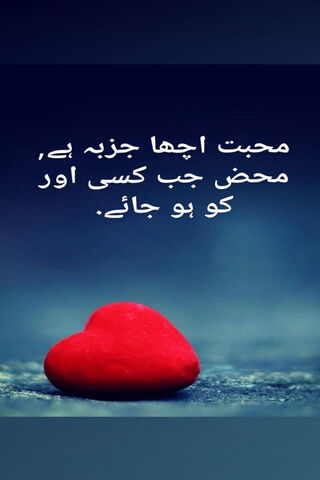 Heartfelt Moments: The Essence of Love ❤️