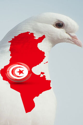 Symbol of Peace: Tunisia's Heart