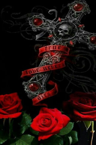 Eternal Love: The Hybrid Tea Rose