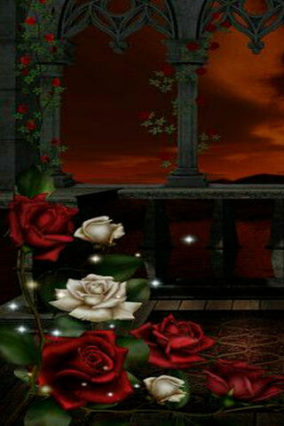 Crimson Elegance: The Allure of Hybrid Tea Roses 🌹✨