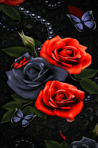 Elegance in Bloom: The Hybrid Tea Rose