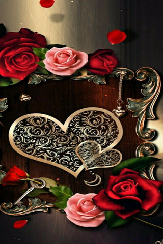 Romantic Elegance: The Allure of Hybrid Tea Roses 🌹❤️