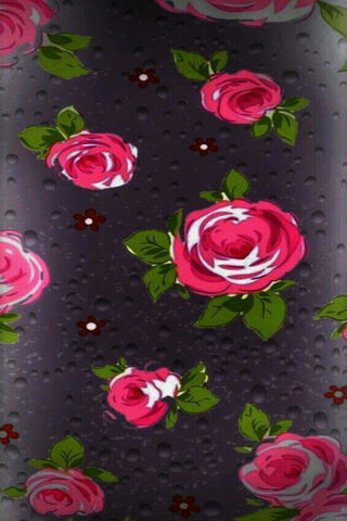 Radiant Blooms: The Allure of Hybrid Tea Roses 🌹✨