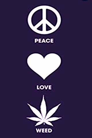 Harmony in Vibes ✌️❤️🌿