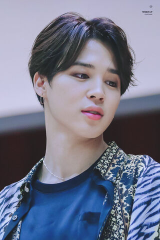 Jimin-ah: The Charismat..
