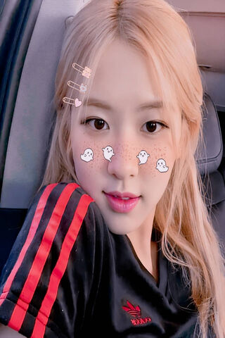 Whispers of Affection 💖