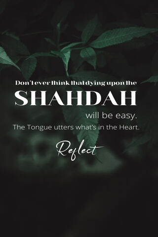 Embracing the Shahadah: A Journey of Faith 🌿