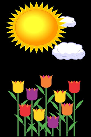 Radiant Blooms Under the Sun 🌞🌷