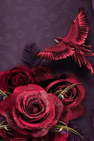 Crimson Elegance: The Hybrid Tea Rose