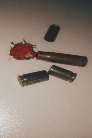 Bullets&roses