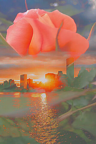 Sunset Serenade: A Rose in the Sky 🌹🌅